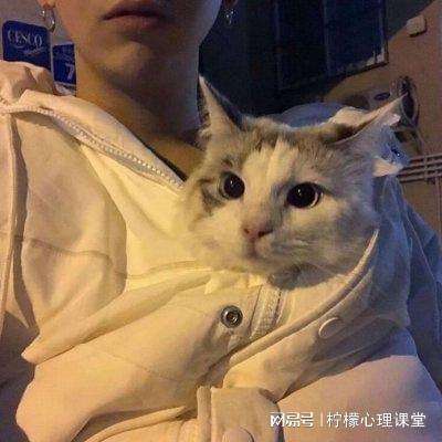 gg模拟器汉化版下载